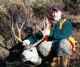 Hunting mule deer in Wyoming 2004